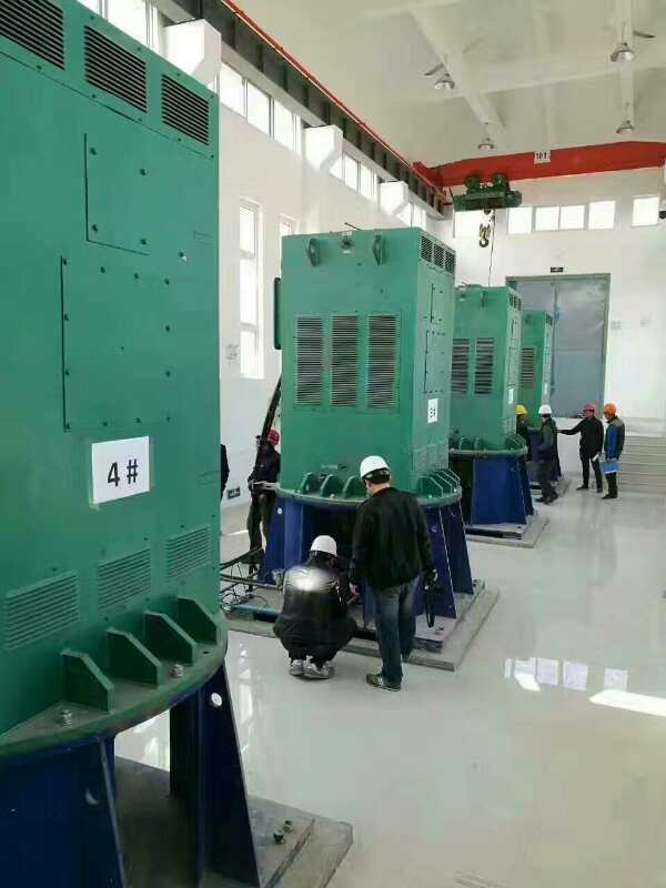 南京某污水处理厂使用我厂的立式高压电机安装现场